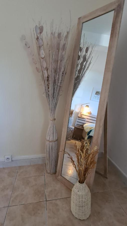 Apartament Le Cocon De Madana Saint-Joseph Zewnętrze zdjęcie