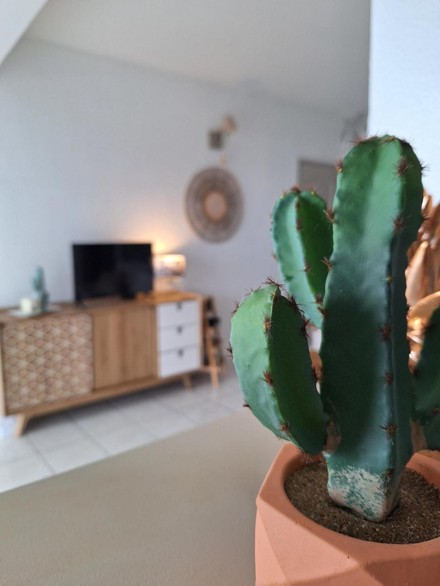 Apartament Le Cocon De Madana Saint-Joseph Zewnętrze zdjęcie