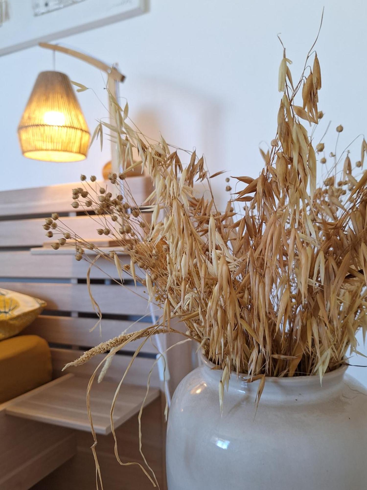 Apartament Le Cocon De Madana Saint-Joseph Zewnętrze zdjęcie